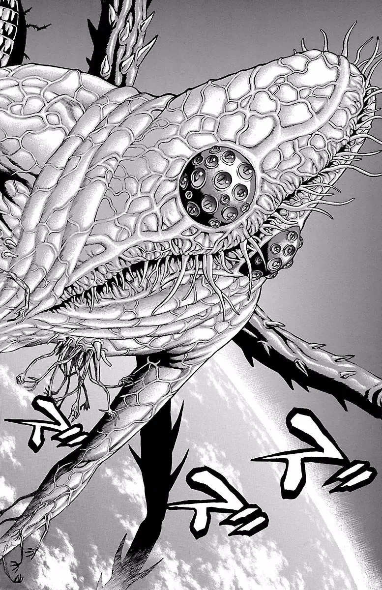 Hakaijuu (2010) - Capítulo 73 - Página 17 - LectorTMOo