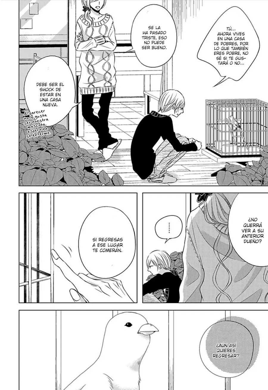 Hana to Junketsu (2015) - Capítulo 4 - Página 8 - LectorTMOo