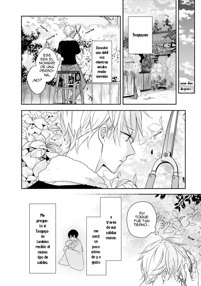 Hana wo Tadoreba Kimi no Yubisaki - Capítulo 2 - Página 19 - LectorTMOo