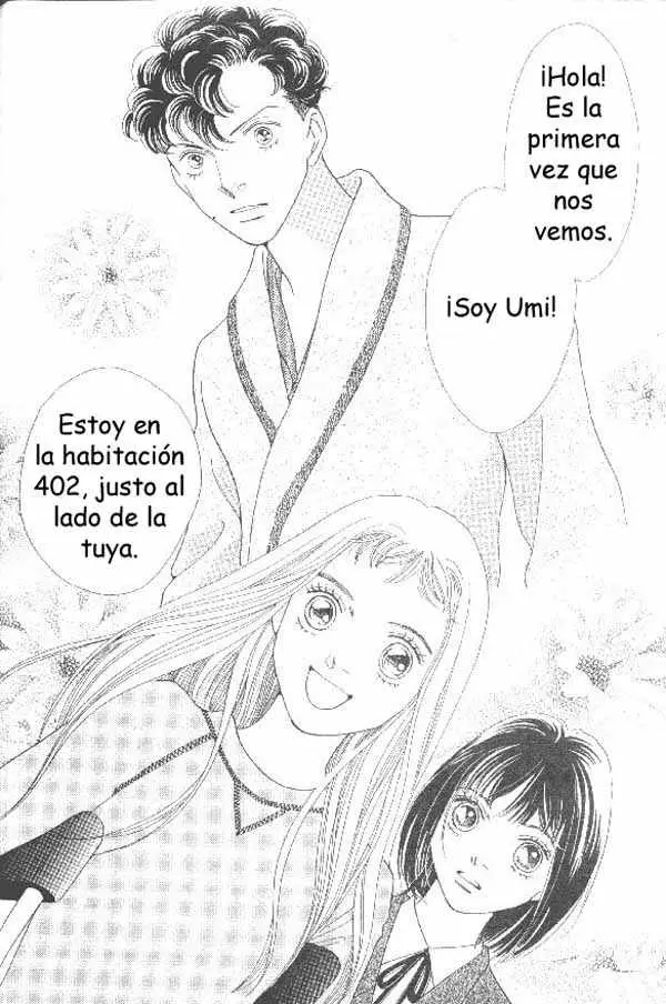 Hana Yori Dango (1992) - Capítulo 213 - Página 22 - LectorTMOo