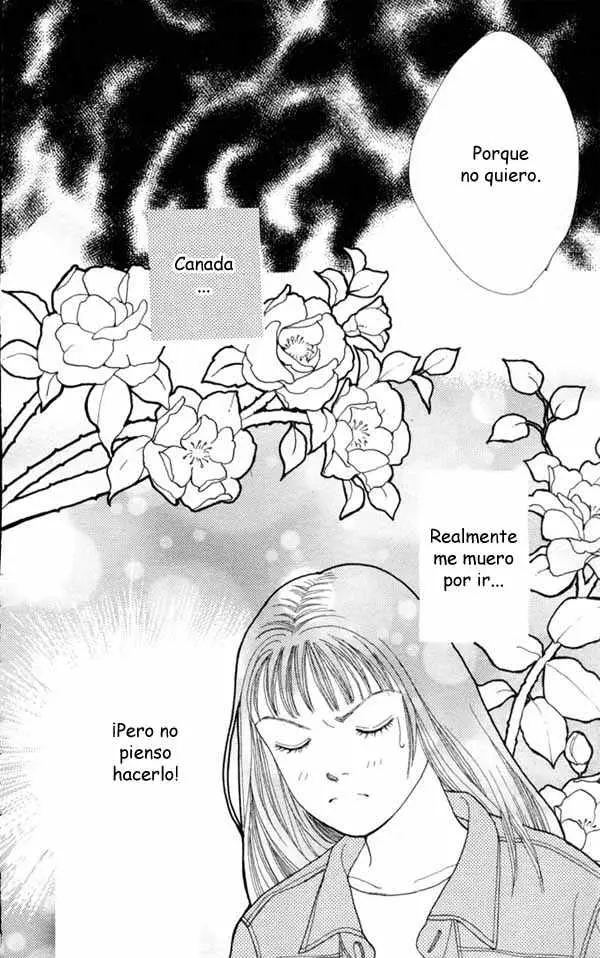 Hana Yori Dango (1992) - Capítulo 79 - Página 8 - LectorTMOo