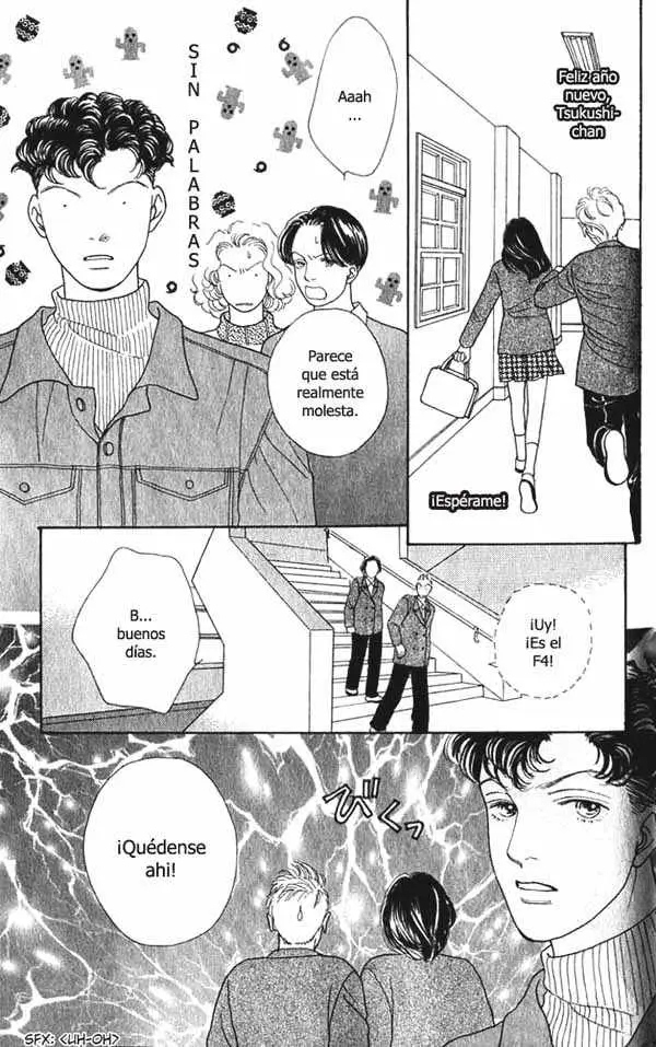 Hana Yori Dango (1992) - Capítulo 87 - Página 17 - LectorTMOo