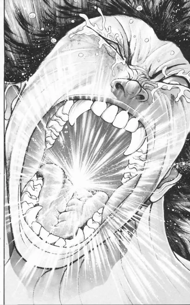 HANMA BAKI: SON OF OGRE (2006) - Capítulo 101 - Página 17 - LectorTMOo