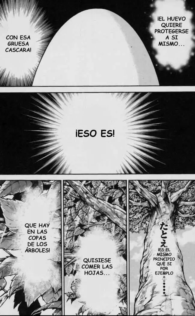 HANMA BAKI: SON OF OGRE (2006) - Capítulo 120 - Página 13 - LectorTMOo