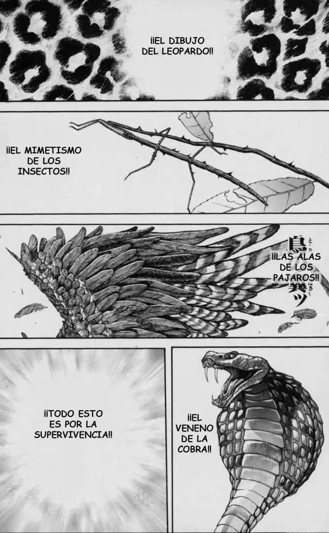 HANMA BAKI: SON OF OGRE (2006) - Capítulo 120 - Página 15 - LectorTMOo