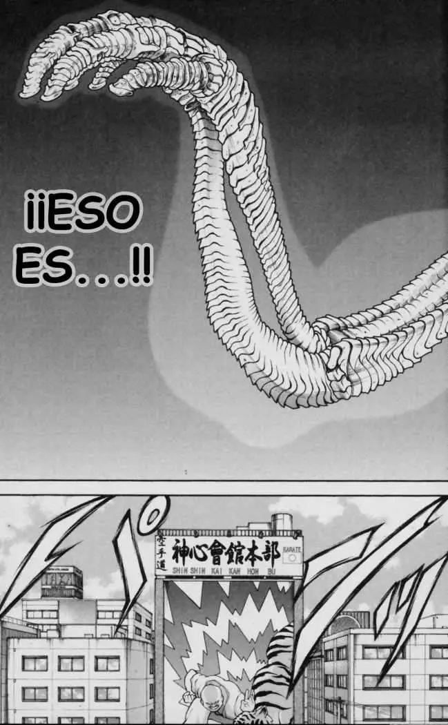 HANMA BAKI: SON OF OGRE (2006) - Capítulo 120 - Página 19 - LectorTMOo