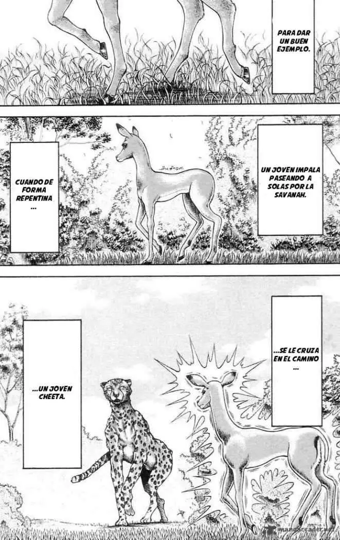 HANMA BAKI: SON OF OGRE (2006) - Capítulo 137 - Página 4 - LectorTMOo