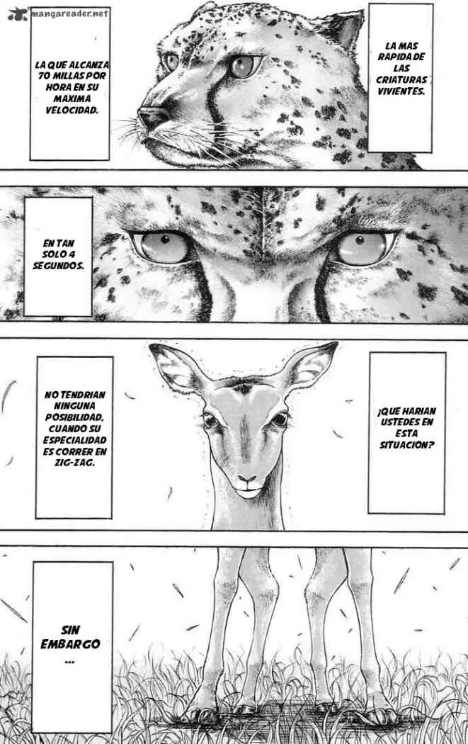 HANMA BAKI: SON OF OGRE (2006) - Capítulo 137 - Página 5 - LectorTMOo