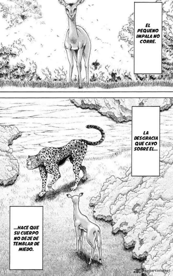 HANMA BAKI: SON OF OGRE (2006) - Capítulo 137 - Página 6 - LectorTMOo