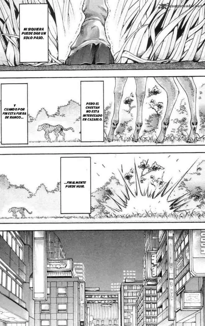 HANMA BAKI: SON OF OGRE (2006) - Capítulo 137 - Página 7 - LectorTMOo
