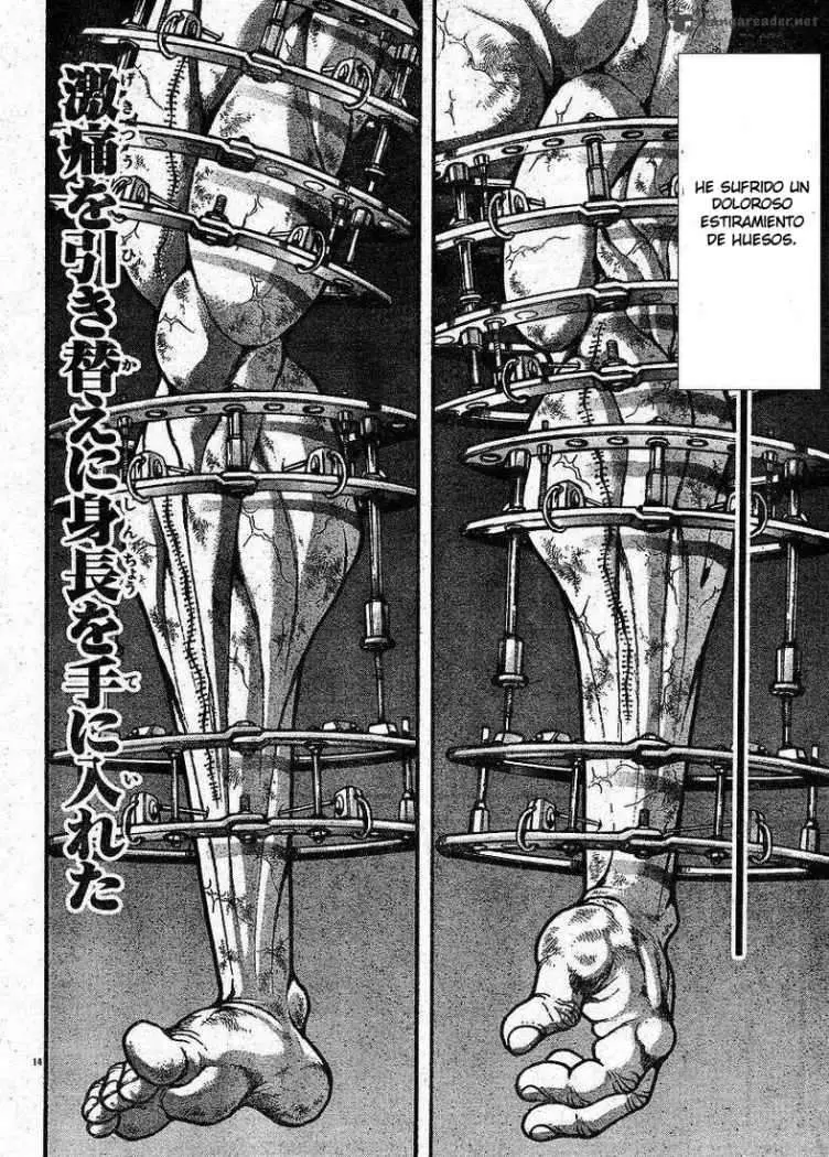 HANMA BAKI: SON OF OGRE (2006) - Capítulo 143 - Página 14 - LectorTMOo