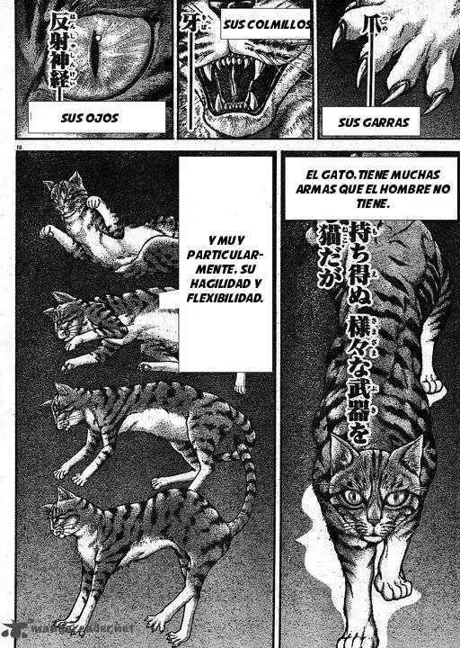 HANMA BAKI: SON OF OGRE (2006) - Capítulo 145 - Página 10 - LectorTMOo