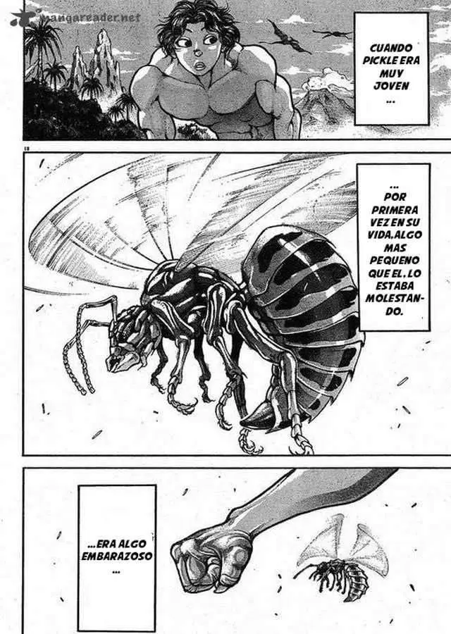 HANMA BAKI: SON OF OGRE (2006) - Capítulo 147 - Página 17 - LectorTMOo