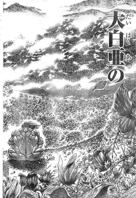 HANMA BAKI: SON OF OGRE (2006) - Capítulo 181 - Página 19 - LectorTMOo