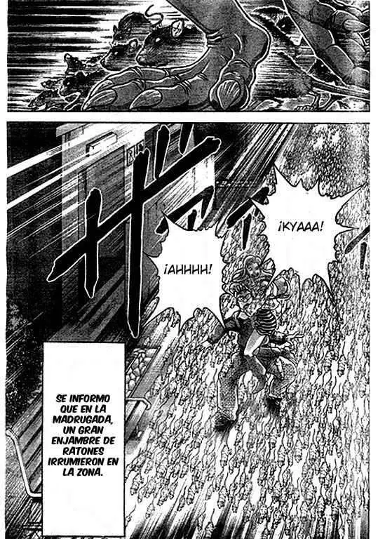 HANMA BAKI: SON OF OGRE (2006) - Capítulo 184 - Página 17 - LectorTMOo