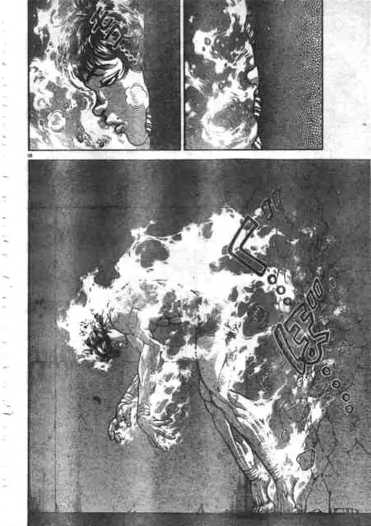 HANMA BAKI: SON OF OGRE (2006) - Capítulo 193 - Página 17 - LectorTMOo