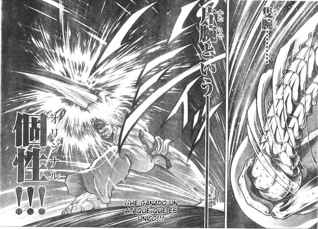 HANMA BAKI: SON OF OGRE (2006) - Capítulo 198 - Página 15 - LectorTMOo