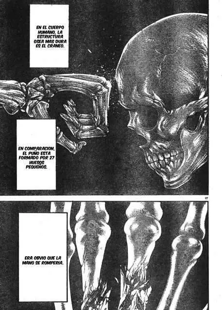 HANMA BAKI: SON OF OGRE (2006) - Capítulo 201 - Página 17 - LectorTMOo