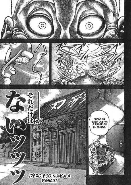 HANMA BAKI: SON OF OGRE (2006) - Capítulo 202 - Página 15 - LectorTMOo