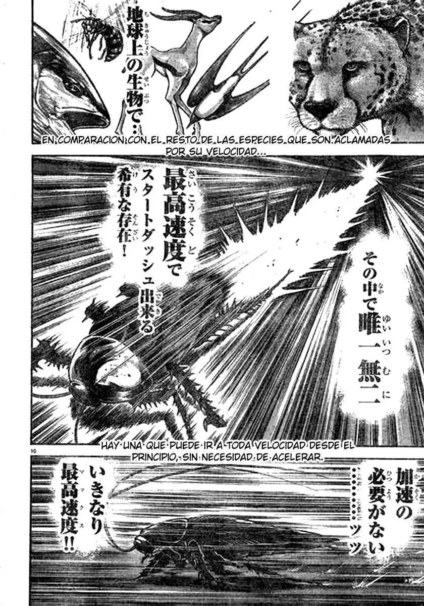 HANMA BAKI: SON OF OGRE (2006) - Capítulo 210 - Página 9 - LectorTMOo