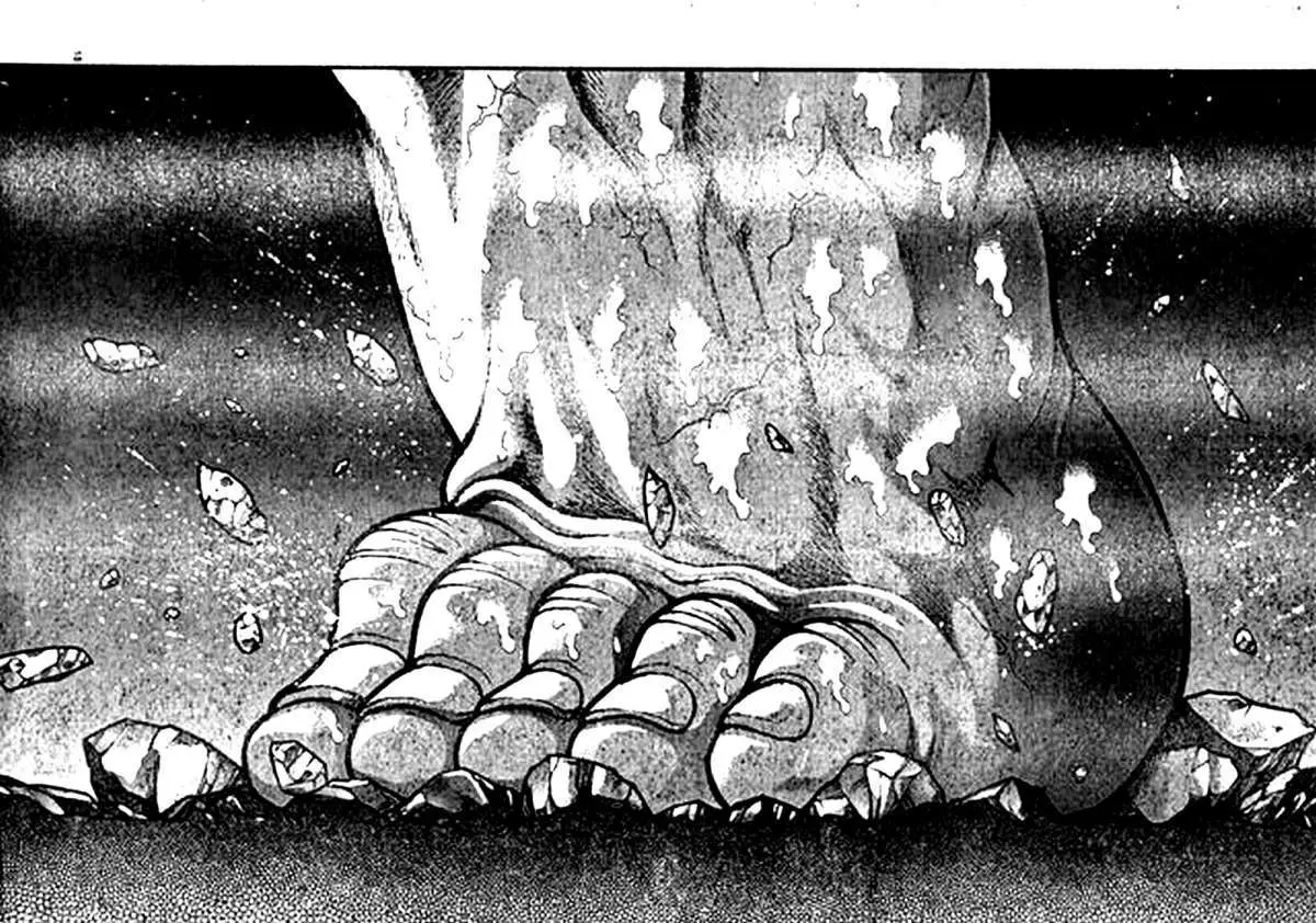 HANMA BAKI: SON OF OGRE (2006) - Capítulo 210 - Página 17 - LectorTMOo