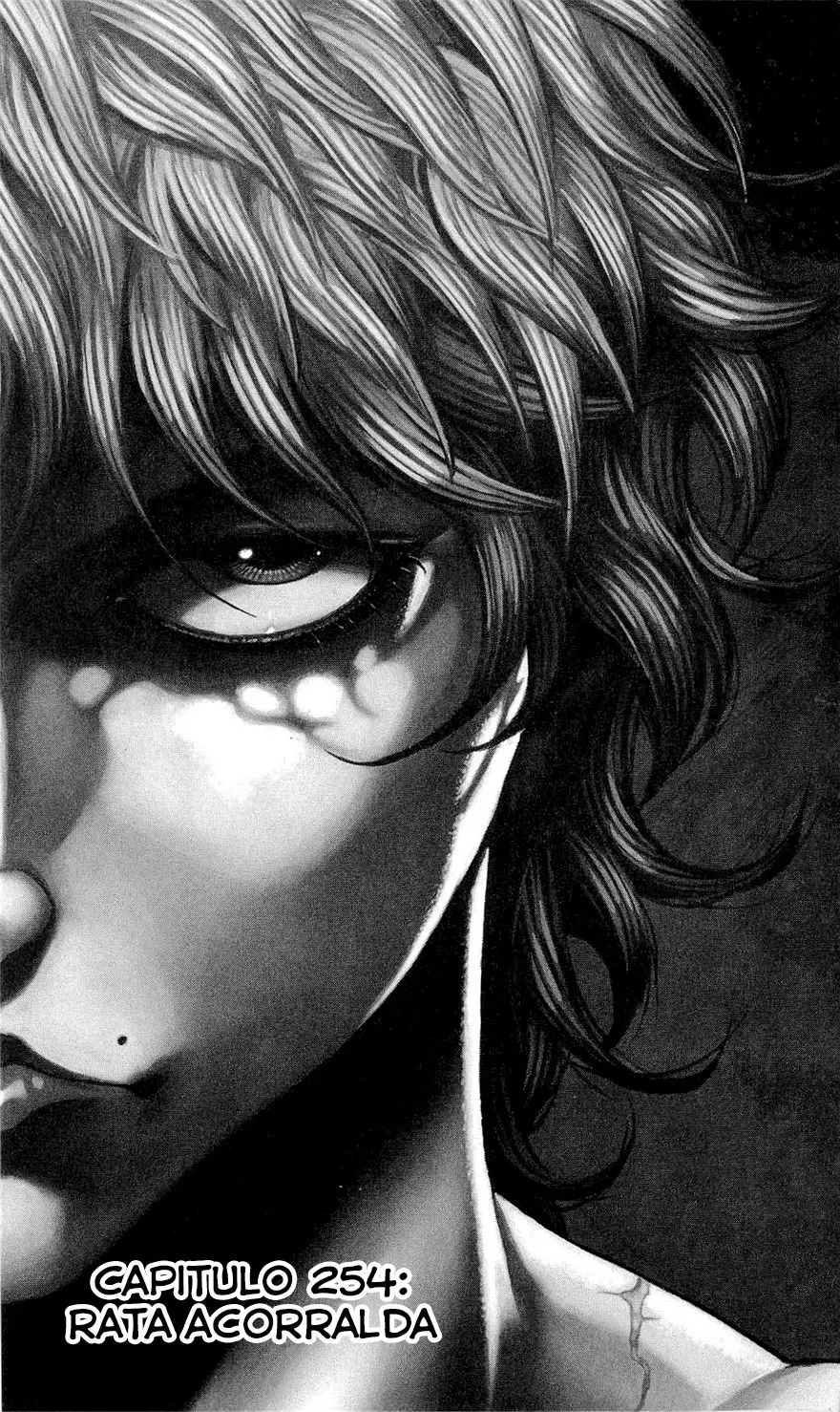 HANMA BAKI: SON OF OGRE (2006) - Capítulo 254 - Página 2 - LectorTMOo