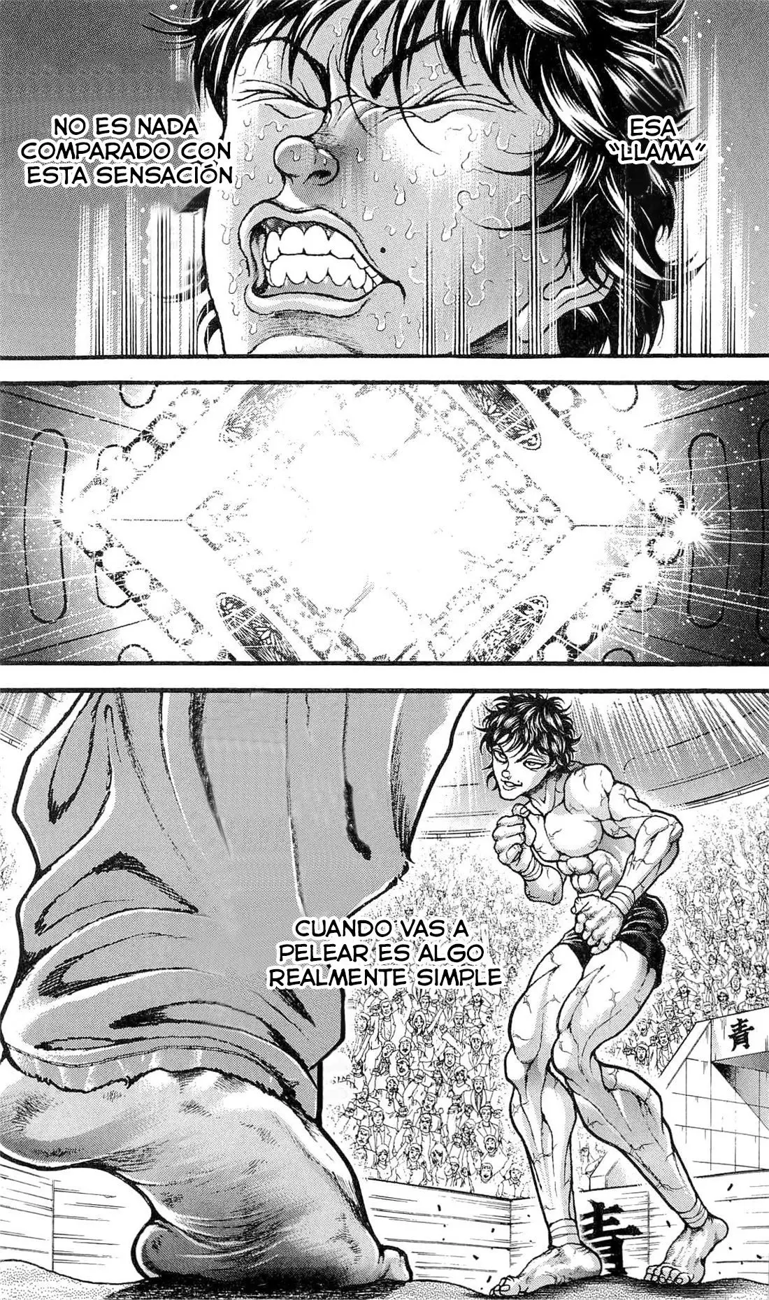 HANMA BAKI: SON OF OGRE (2006) - Capítulo 254 - Página 10 - LectorTMOo