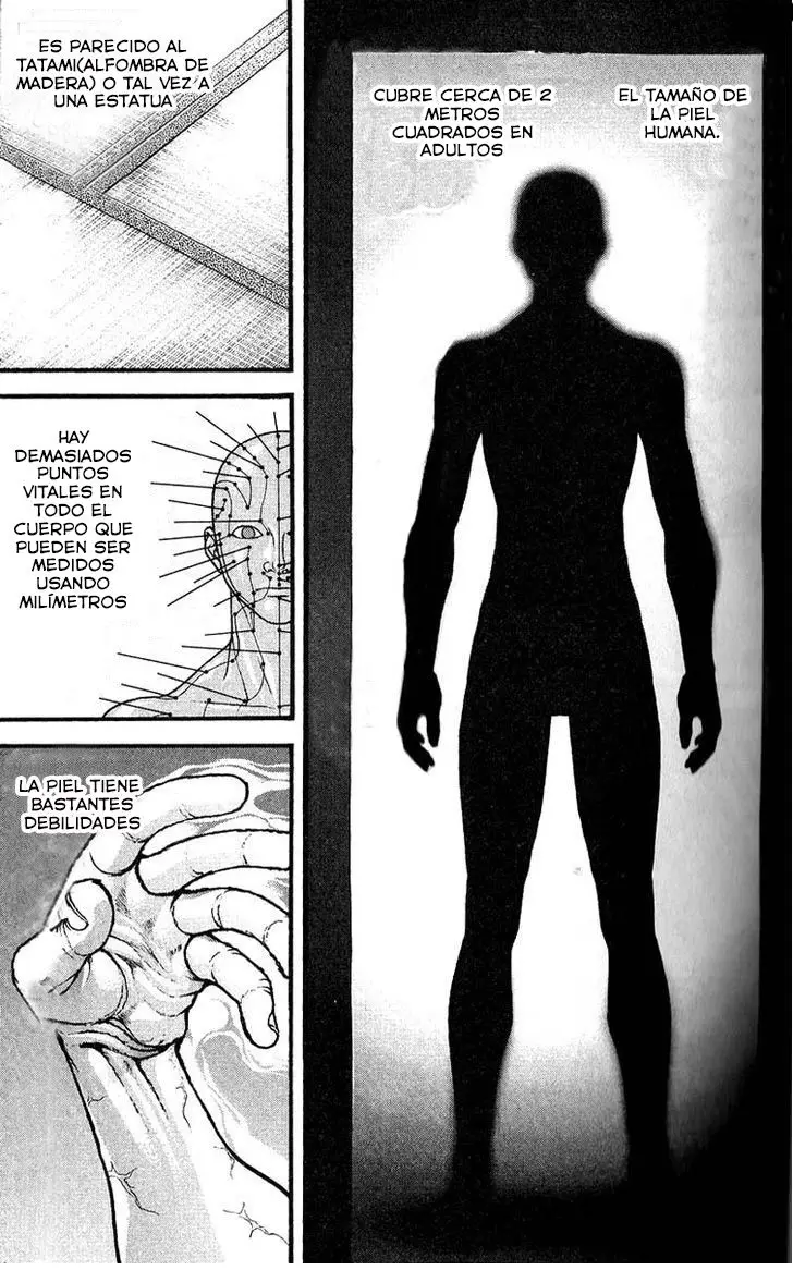 HANMA BAKI: SON OF OGRE (2006) - Capítulo 255 - Página 5 - LectorTMOo