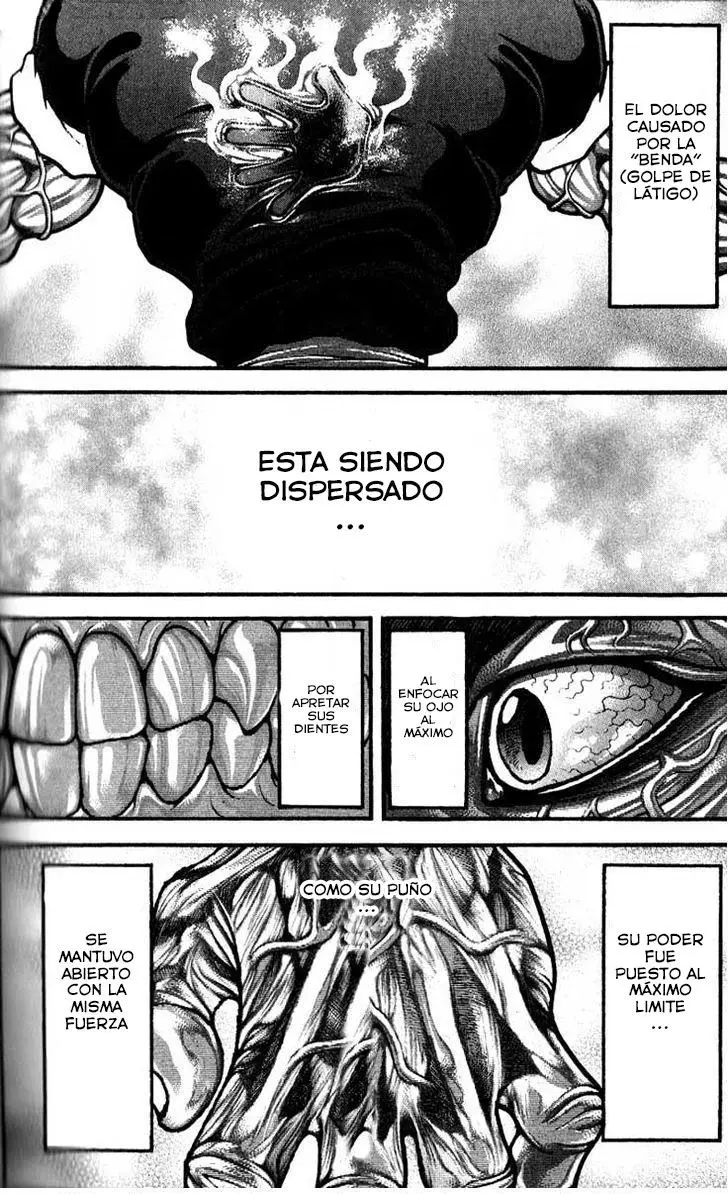 HANMA BAKI: SON OF OGRE (2006) - Capítulo 255 - Página 14 - LectorTMOo