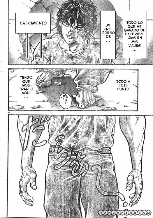 HANMA BAKI: SON OF OGRE (2006) - Capítulo 257 - Página 15 - LectorTMOo