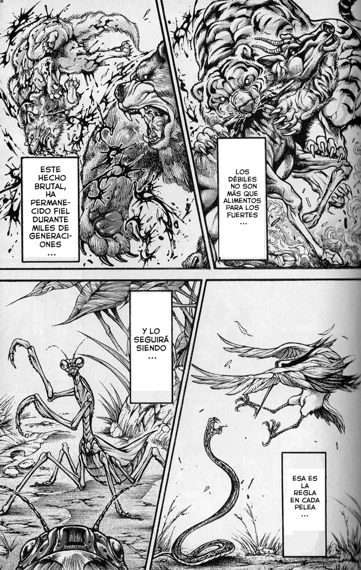HANMA BAKI: SON OF OGRE (2006) - Capítulo 269 - Página 5 - LectorTMOo