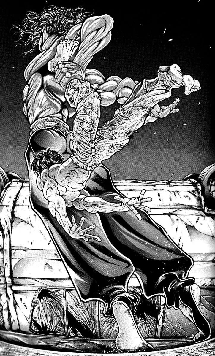 HANMA BAKI: SON OF OGRE (2006) - Capítulo 291 - Página 17 - LectorTMOo