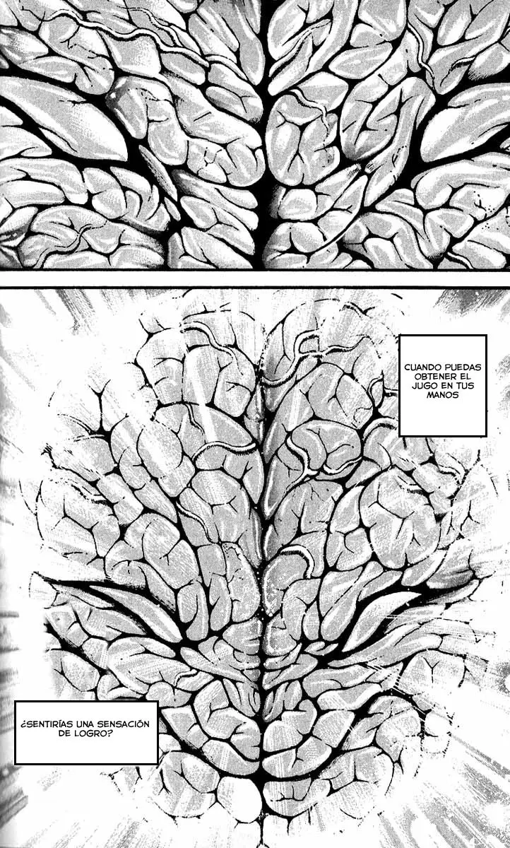 HANMA BAKI: SON OF OGRE (2006) - Capítulo 295 - Página 17 - LectorTMOo
