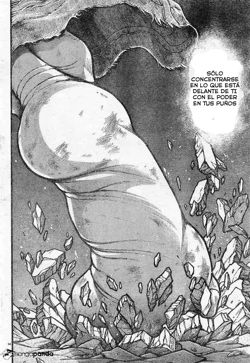 HANMA BAKI: SON OF OGRE (2006) - Capítulo 303 - Página 14 - LectorTMOo