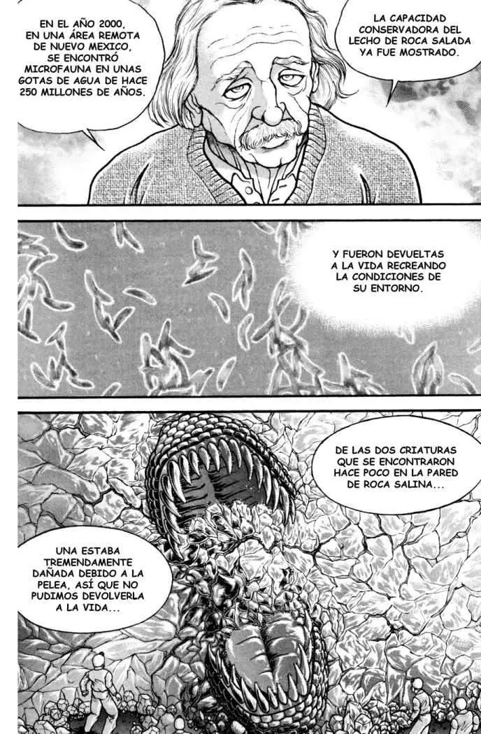 HANMA BAKI: SON OF OGRE (2006) - Capítulo 81 - Página 14 - LectorTMOo
