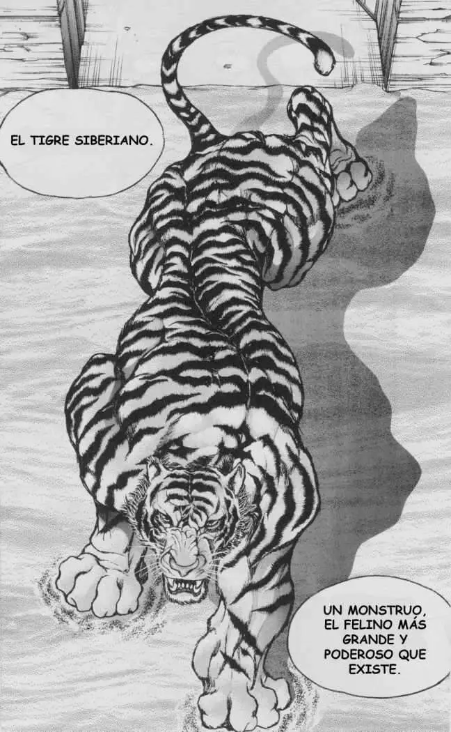 HANMA BAKI: SON OF OGRE (2006) - Capítulo 90 - Página 18 - LectorTMOo