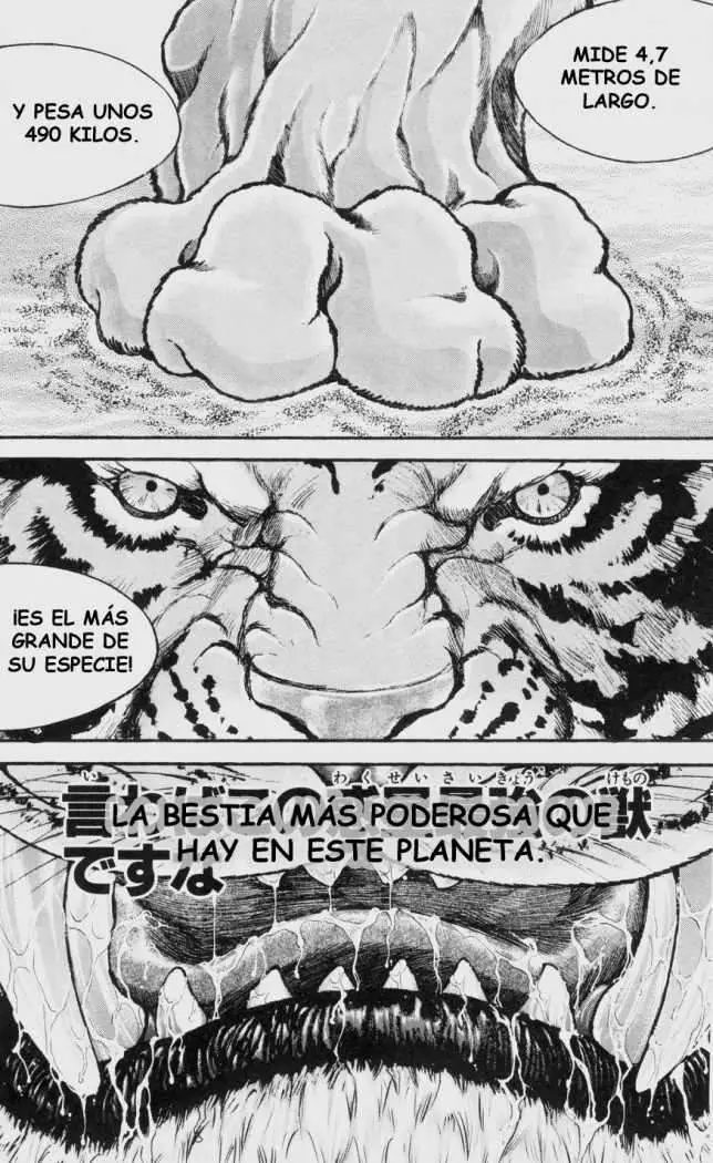 HANMA BAKI: SON OF OGRE (2006) - Capítulo 90 - Página 19 - LectorTMOo