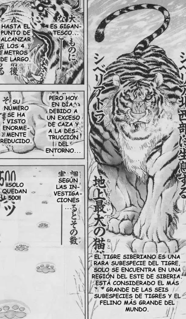 HANMA BAKI: SON OF OGRE (2006) - Capítulo 92 - Página 5 - LectorTMOo