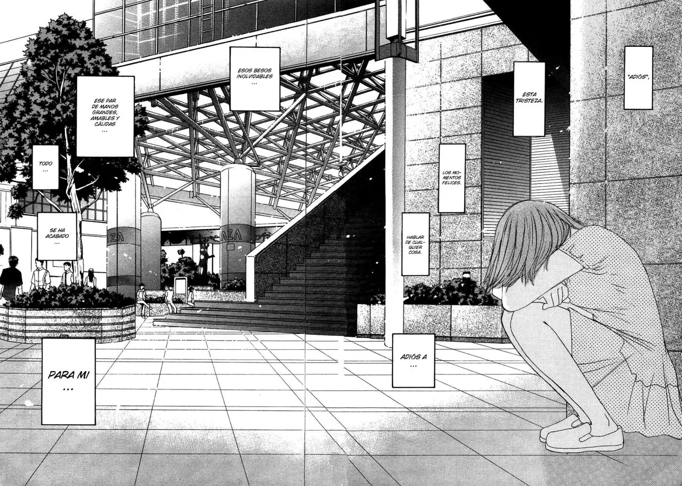 Haru yo, Koi (1999) - Capítulo 83 - Página 22 - LectorTMOo