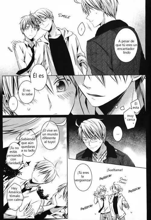 Hetalia doujines parejas (2014) - Capítulo 36 - Página 25 - LectorTMOo