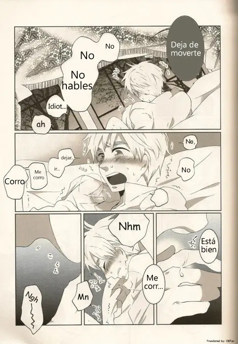 Hetalia doujines parejas (2014) - Capítulo 43 - Página 13 - LectorTMOo