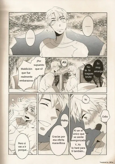 Hetalia doujines parejas (2014) - Capítulo 43 - Página 14 - LectorTMOo