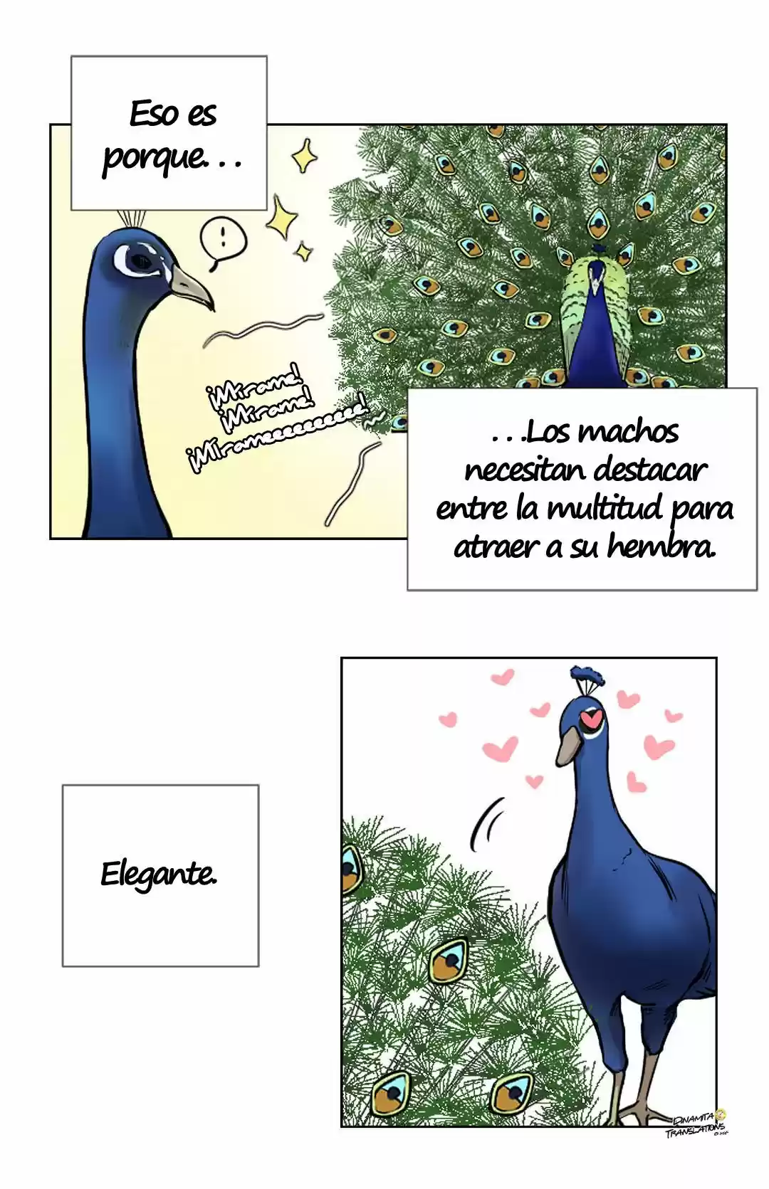 Historia de Nuestras Vidas (2017) - Capítulo 9 - Página 5 - LectorTMOo