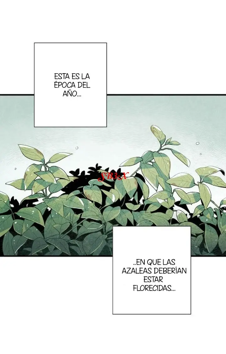 Hotel Pharus - Capítulo 11 - Página 38 - LectorTMOo