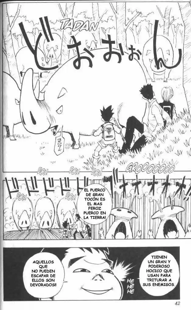 Hunter X Hunter (1998) - Capítulo 10 - Página 17 - LectorTMOo