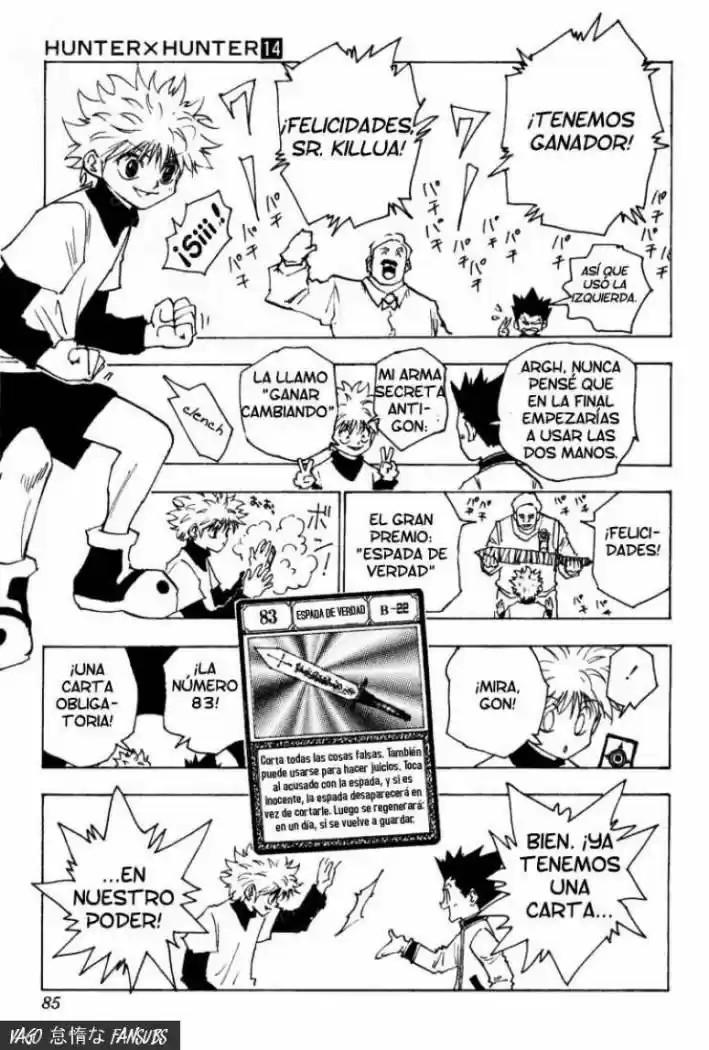 Hunter X Hunter (1998) - Capítulo 132 - Página 15 - LectorTMOo