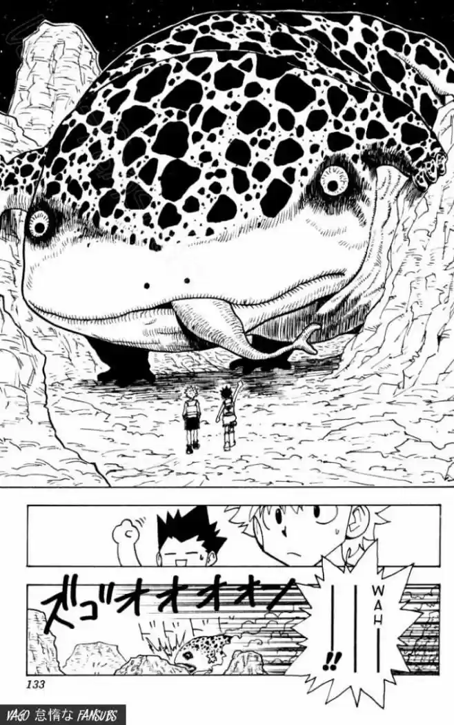 Hunter X Hunter (1998) - Capítulo 135 - Página 15 - LectorTMOo