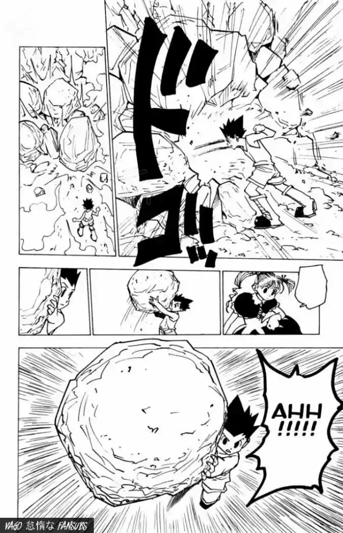 Hunter X Hunter (1998) - Capítulo 138 - Página 14 - LectorTMOo
