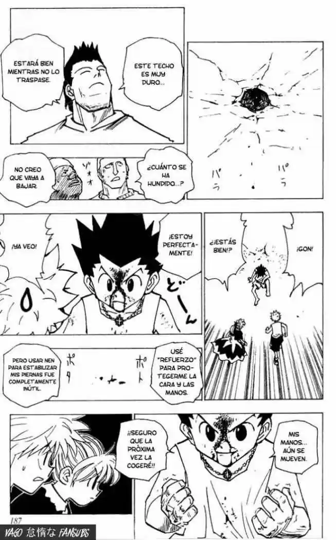 Hunter X Hunter (1998) - Capítulo 163 - Página 11 - LectorTMOo