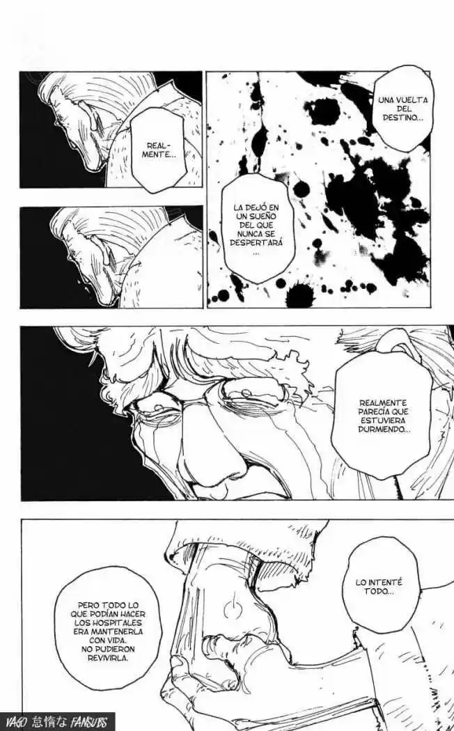 Hunter X Hunter (1998) - Capítulo 174 - Página 14 - LectorTMOo